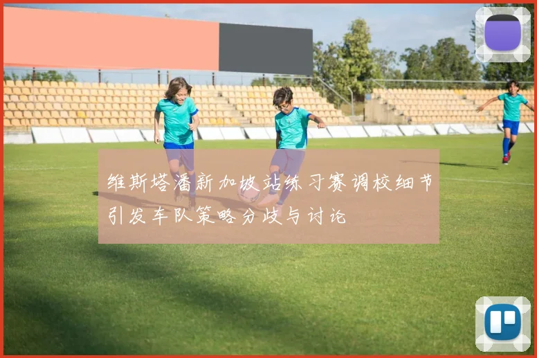 维斯塔潘新加坡站练习赛调校细节引发车队策略分歧与讨论